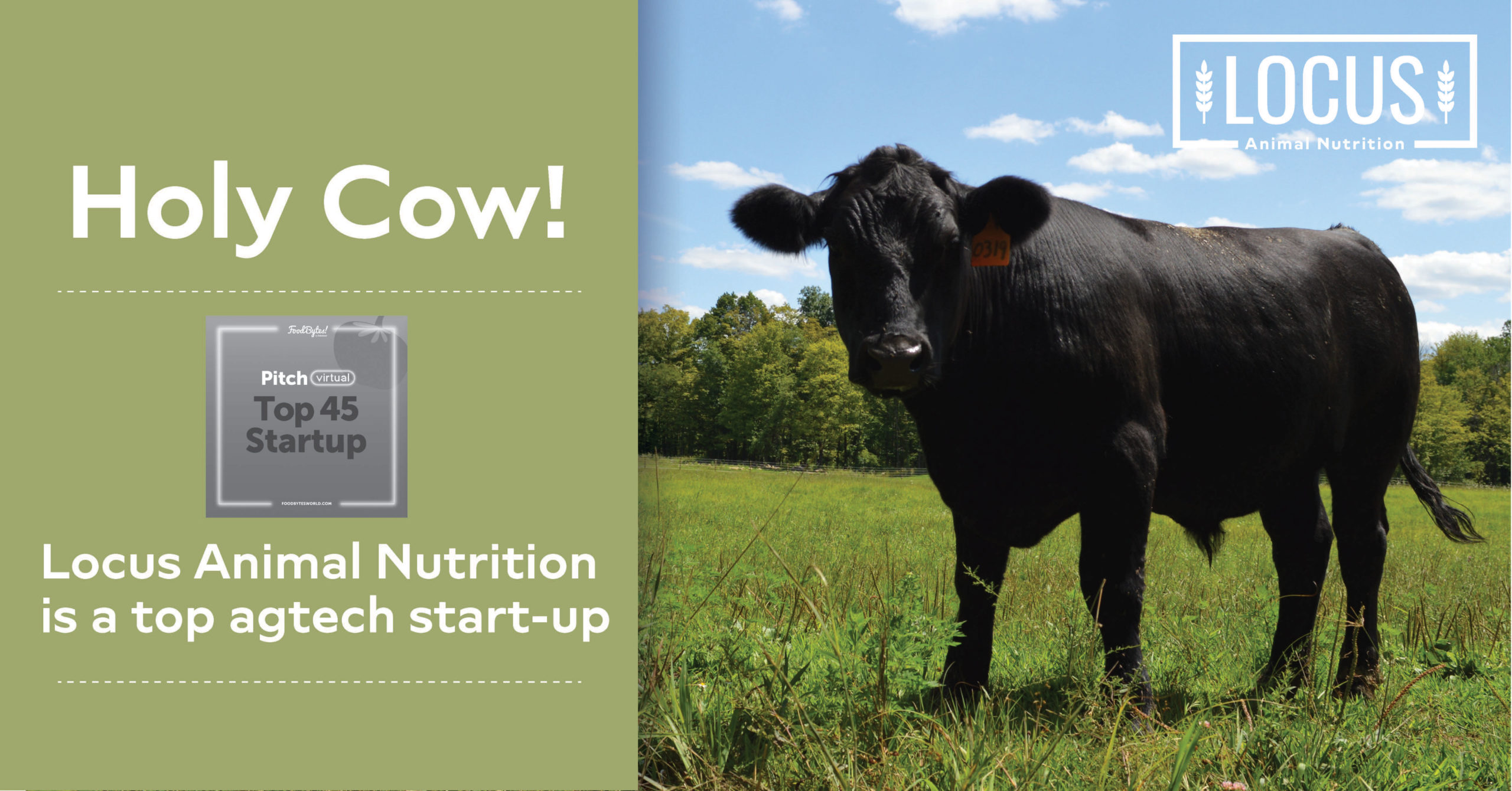 Rabobank Names Locus Animal Nutrition A Top Startup for Methane-Reducing Cattle Feed Additives